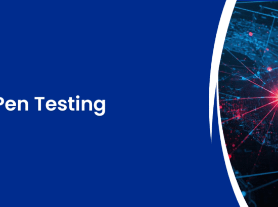 External Network Pen Testing