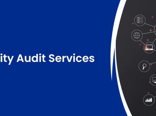 Information Security Audit Services